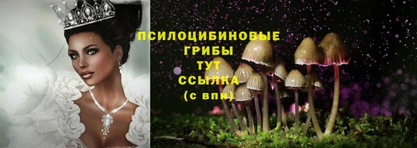 бошки Алзамай